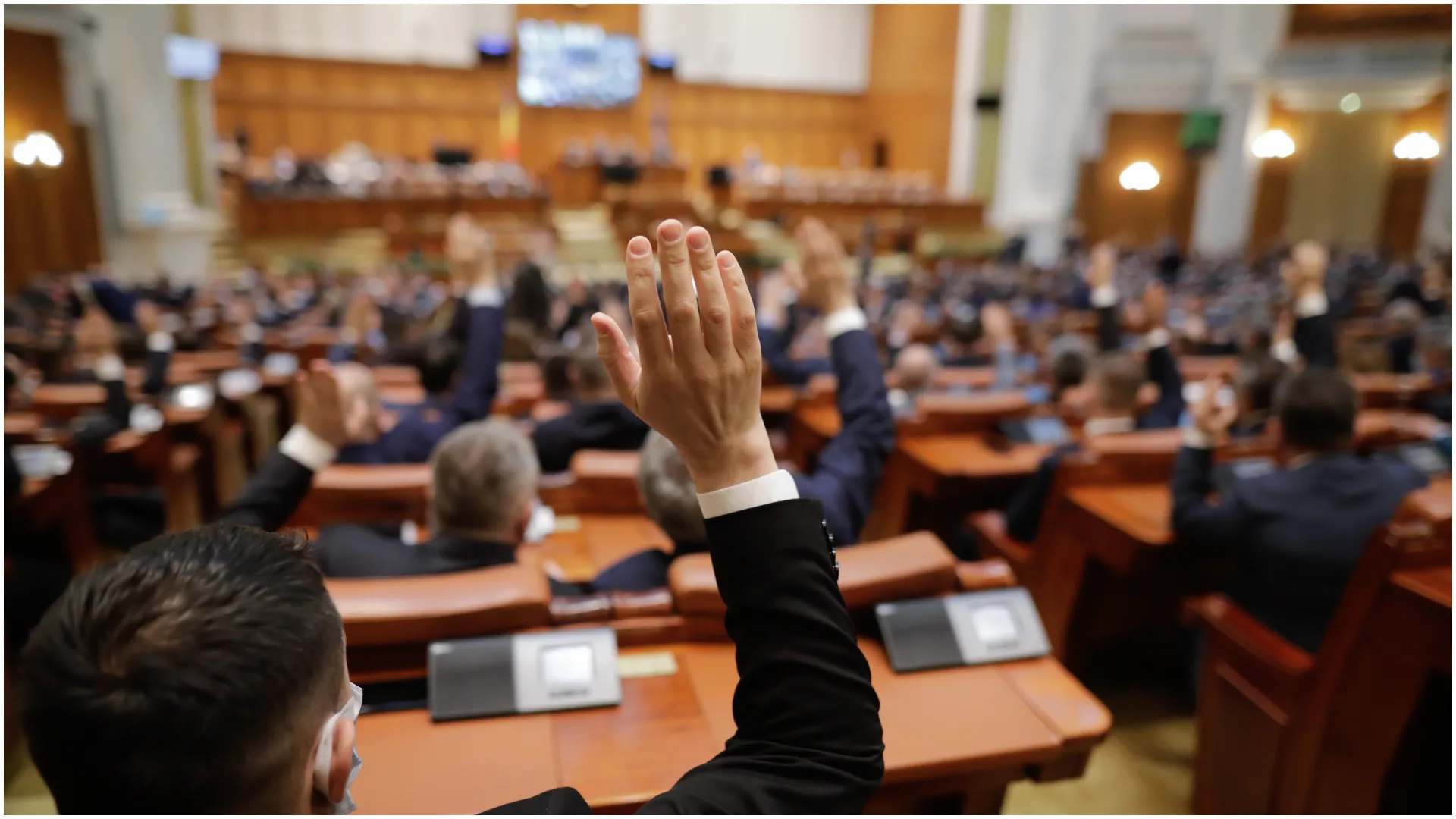 Sursa foto: shutterstock